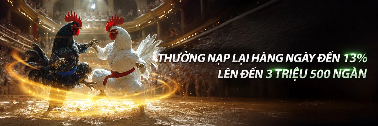 Đá Gà Campuchia Bình Luận sôi động